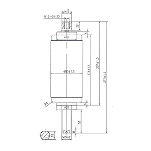 ZW32 VS1断路器用真空灭弧室（603B）